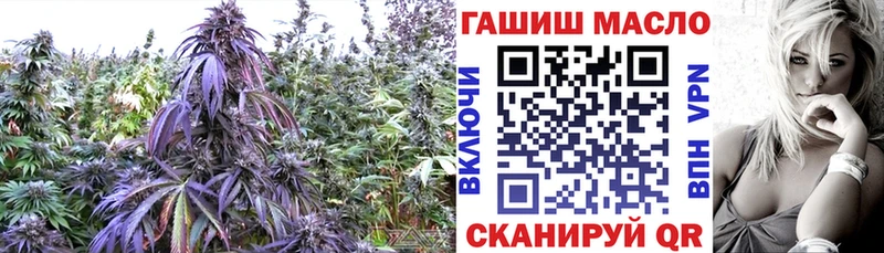 купить наркоту  сайты даркнета как зайти  Дистиллят ТГК концентрат  Каргополь 